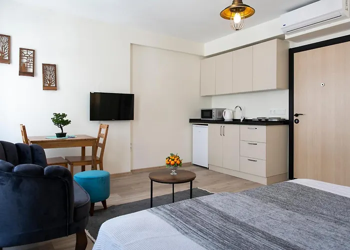 Happy Homes & Apartments Taksim 公寓 伊斯坦布尔