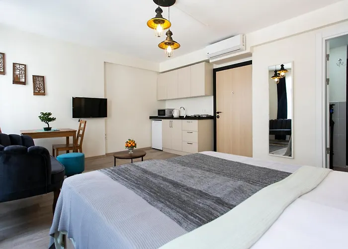 Happy Homes & Apartments Taksim 公寓