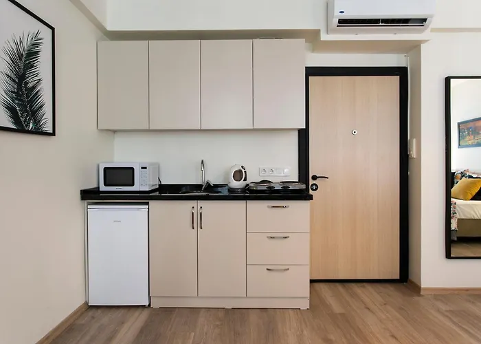 公寓 Happy Homes & Apartments Taksim *