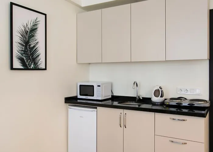 Happy Homes & Apartments Taksim * 伊斯坦布尔